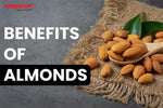 Health Benefits Of Almonds And Why You Should Include It In Your Diet