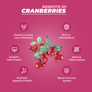 Pureheart Dried Cranberries 80g | Naturally Sweet & Tangy Cranberry Dry Fruit | Healthy Snack, Antioxidant Rich, High Fiber Superfood | Cranberry for Salad, Baking & Trail Mix